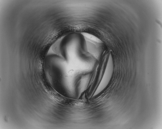 X0000096160456200802081438