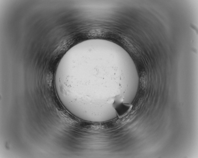 X0000096160458200802081438