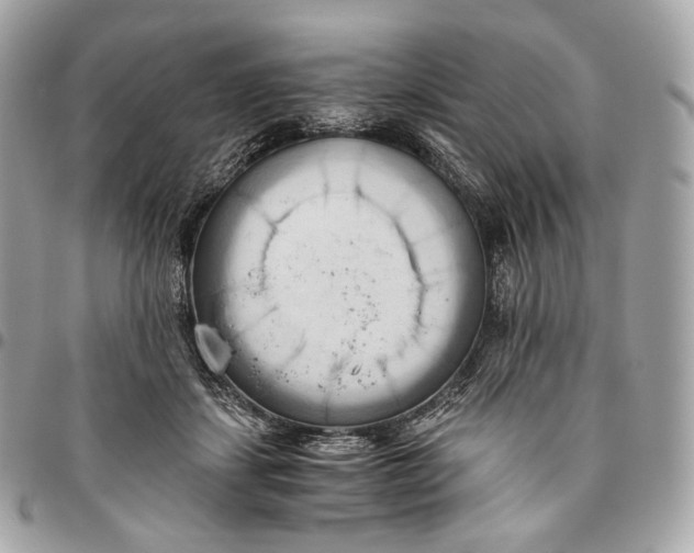 X0000096160459200802081438