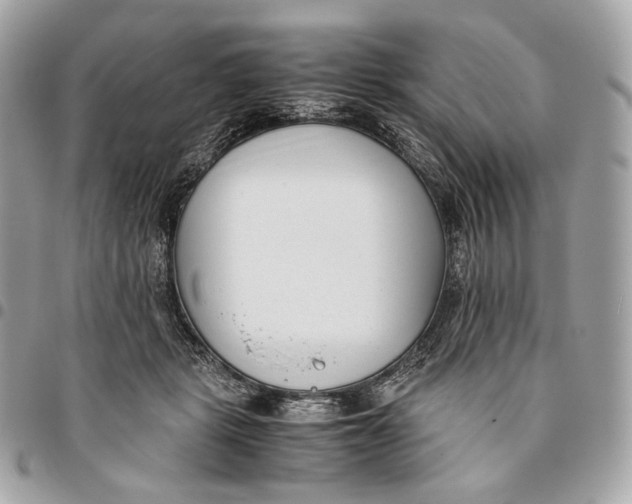 X0000096160461200802081438