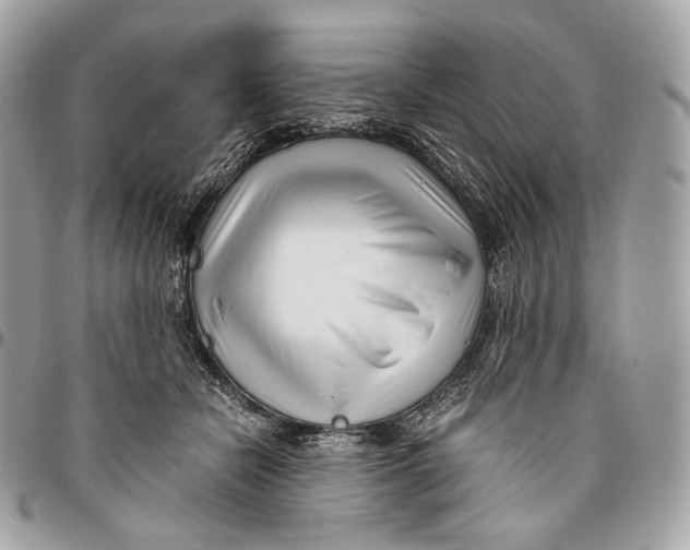 X0000096160462200802081438