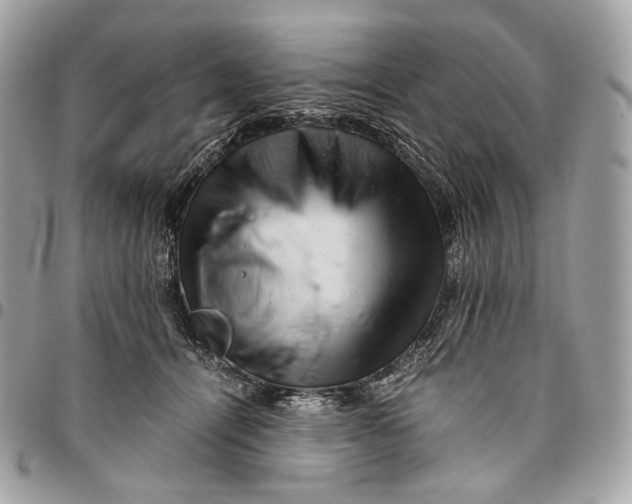 X0000096160464200802081438