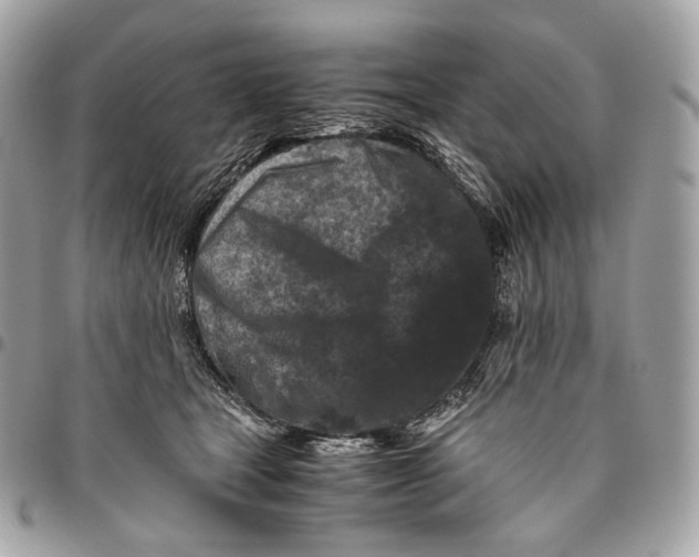 X0000096160465200802081438