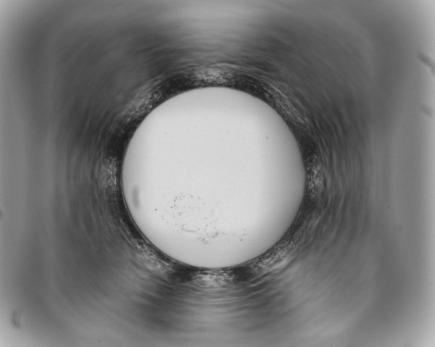 X0000096160466200802081438