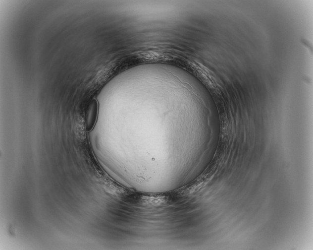 X0000096160469200802081438