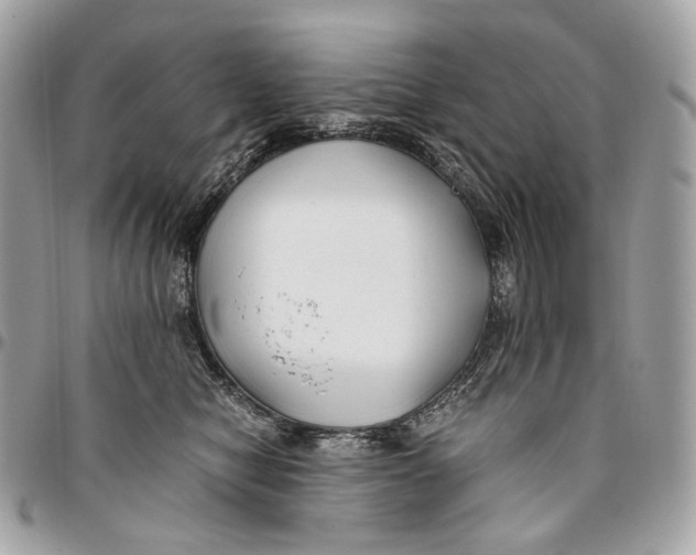 X0000096160470200802081438