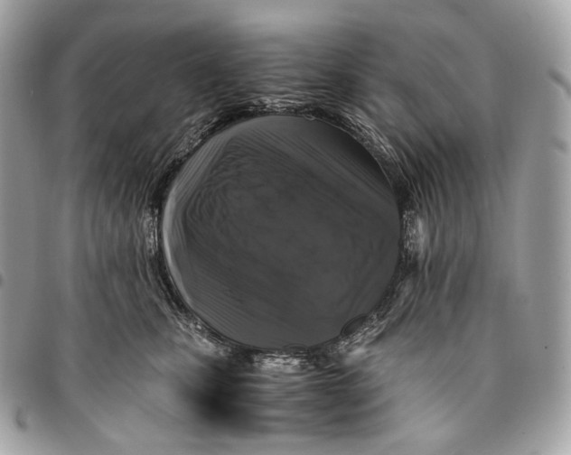 X0000096160471200802081438