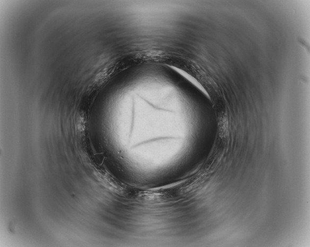 X0000096160472200802081438