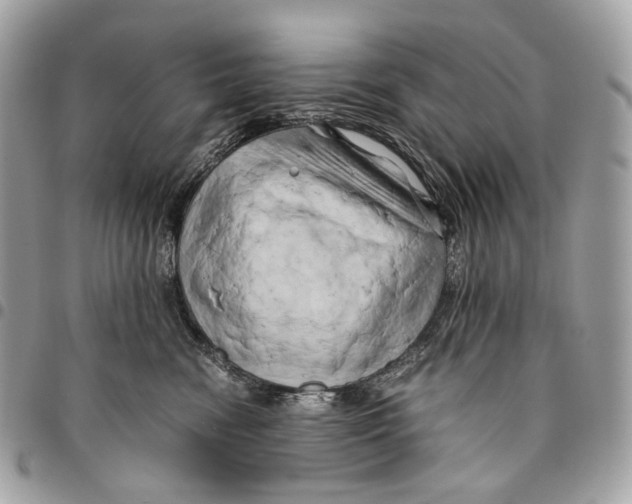 X0000096160474200802081438