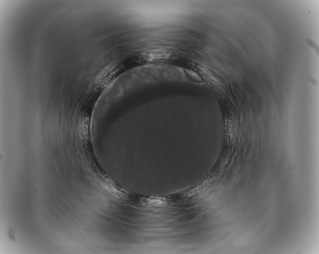 X0000096160475200802081438