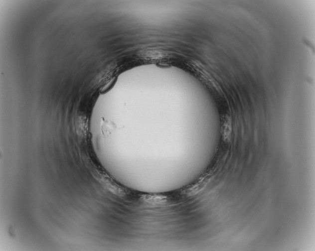 X0000096160476200802081438