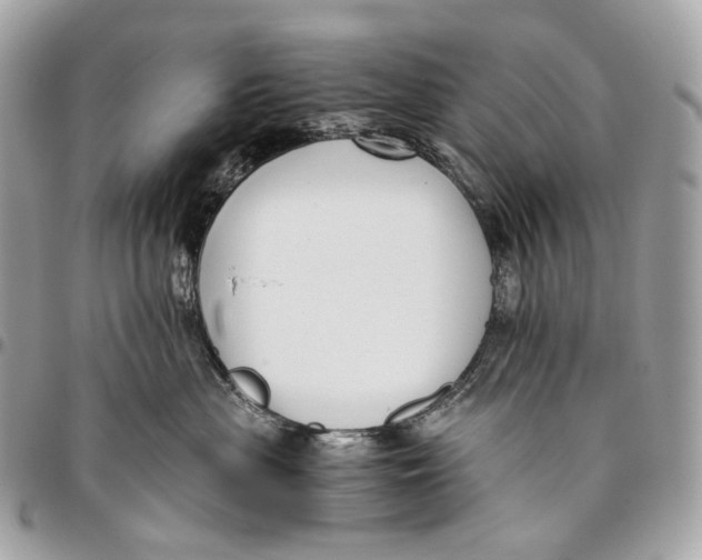 X0000096160477200802081438