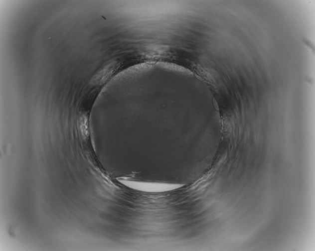 X0000096160479200802081438