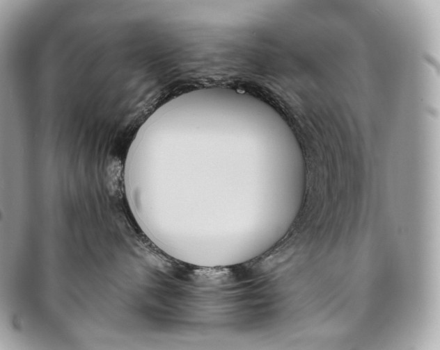 X0000096160480200802081438