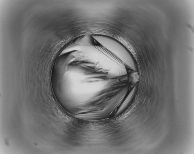 X0000096160481200802081437