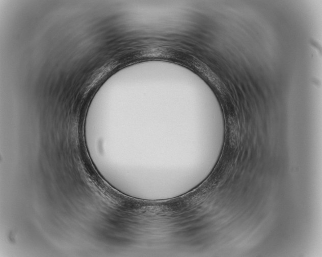 X0000096160482200802081437