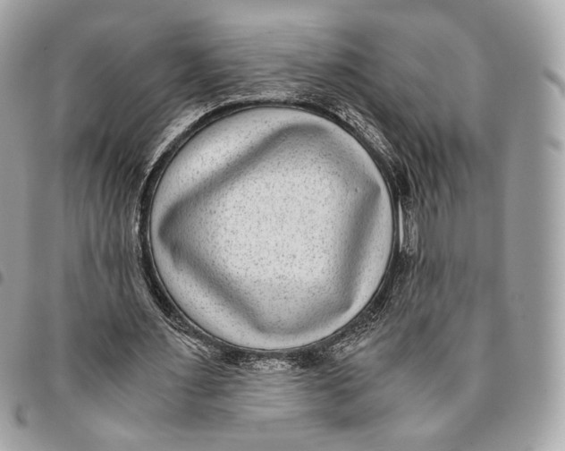 X0000096160483200802081437