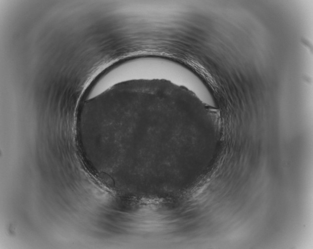 X0000096160484200802081437