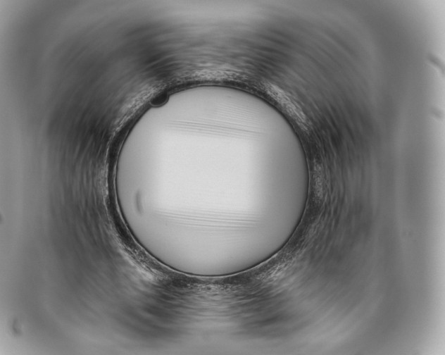 X0000096160486200802081437