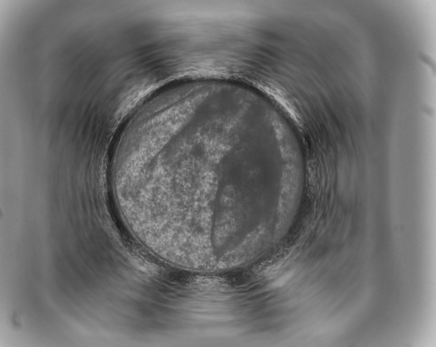 X0000096160487200802081437