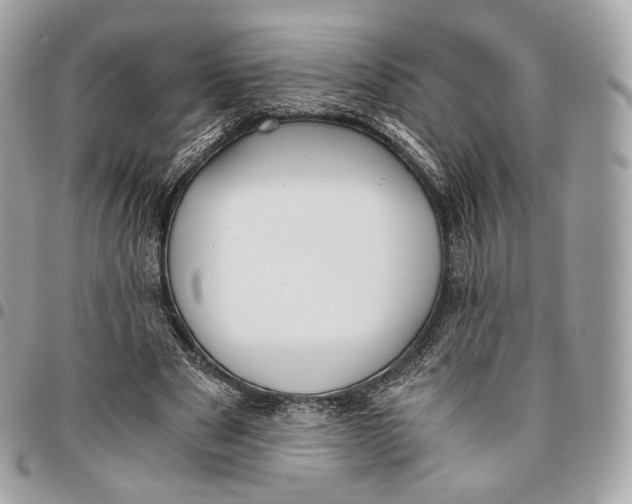 X0000096160489200802081437