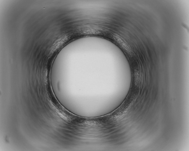 X0000096160490200802081437