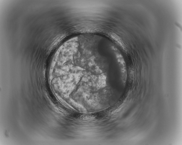 X0000096160491200802081437