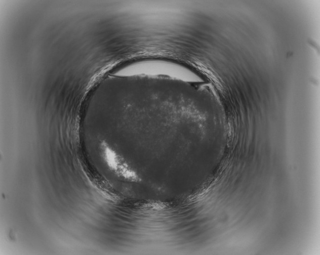 X0000096160492200802081437