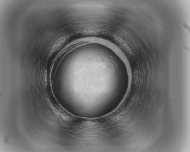 X0000096160494200802081437