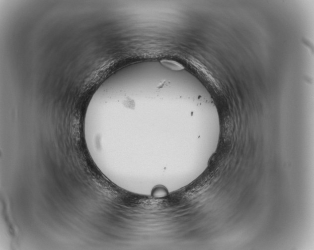 X0000096160497200802081437