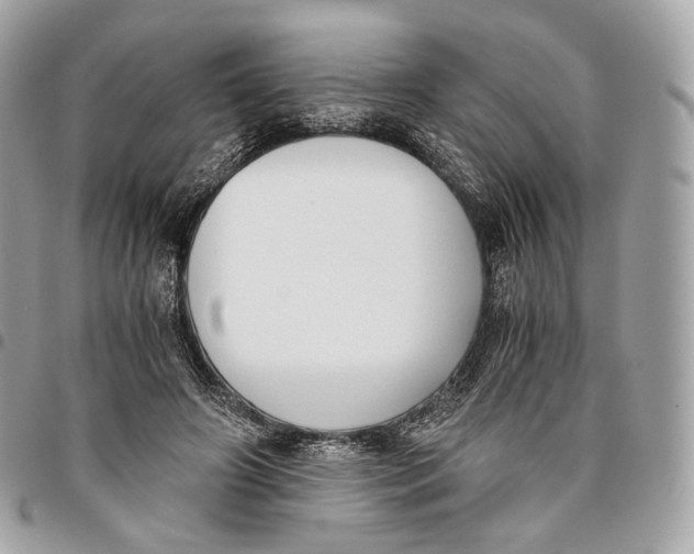 X0000096160498200802081437