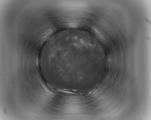 X0000096160500200802081437