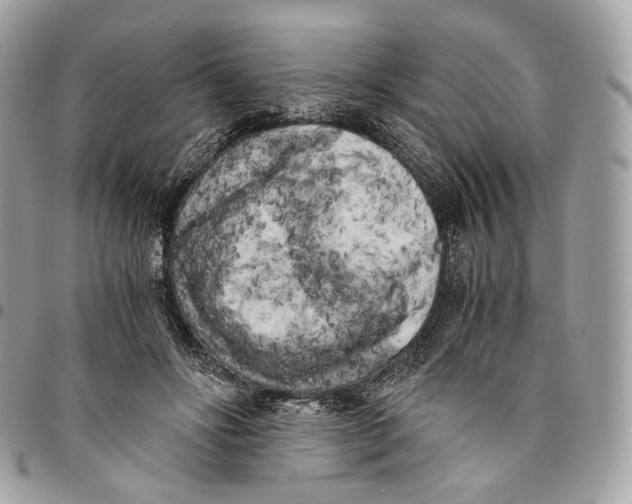 X0000096160502200802081437