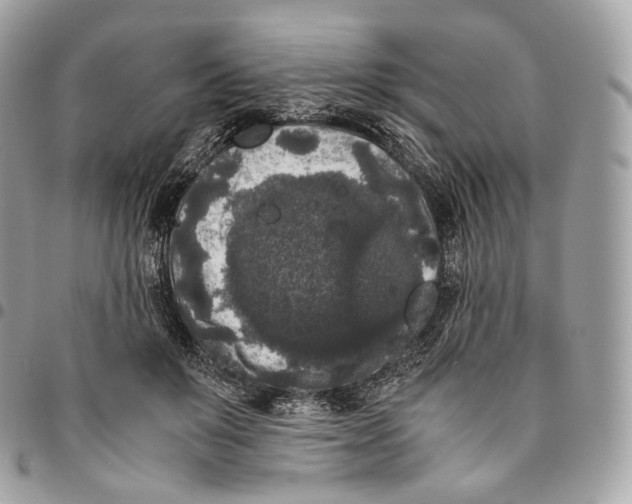 X0000096160503200802081437