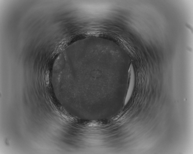 X0000096160504200802081437