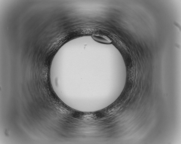 X0000096160505200802081437