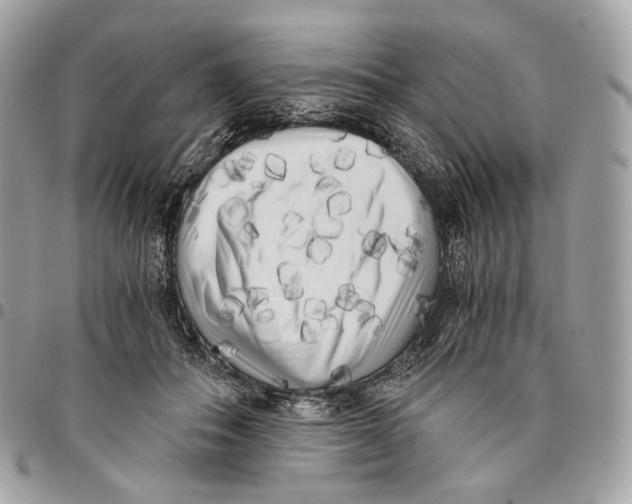 X0000096160506200802081437