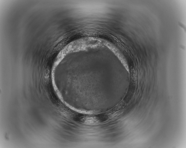 X0000096160507200802081437