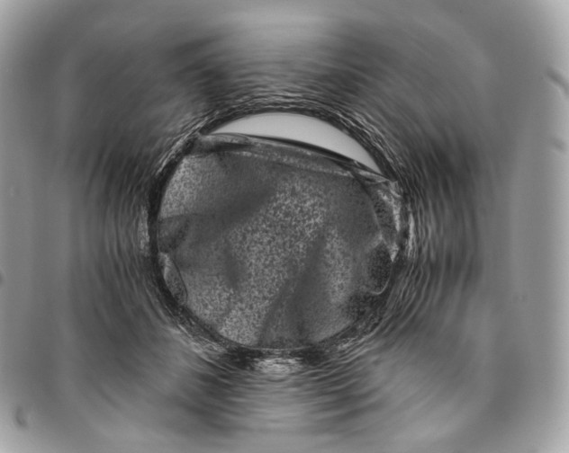 X0000096160508200802081437