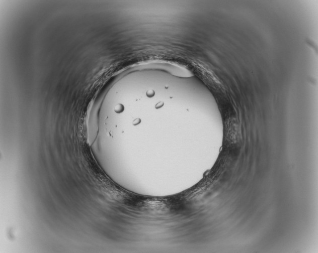 X0000096160509200802081437