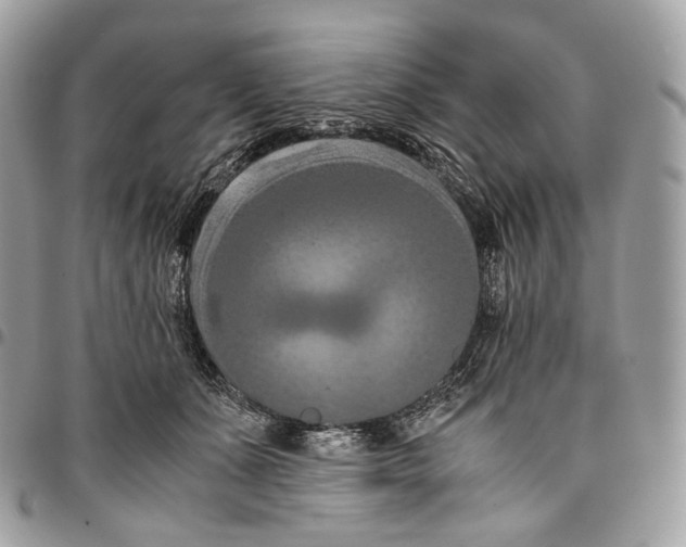 X0000096160511200802081437