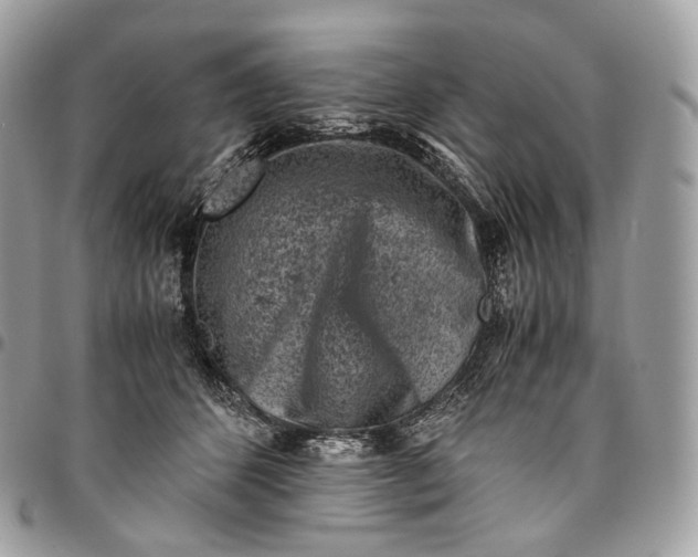 X0000096160512200802081437