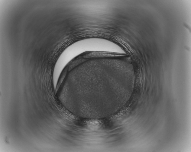 X0000096160513200802081437