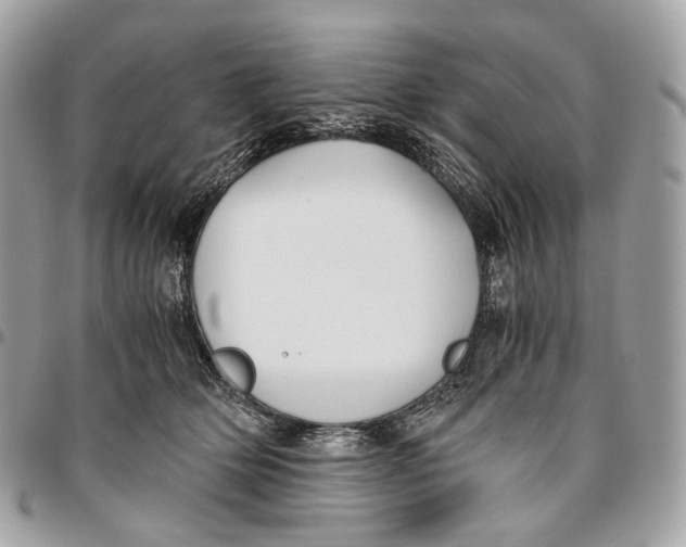 X0000096160514200802081437