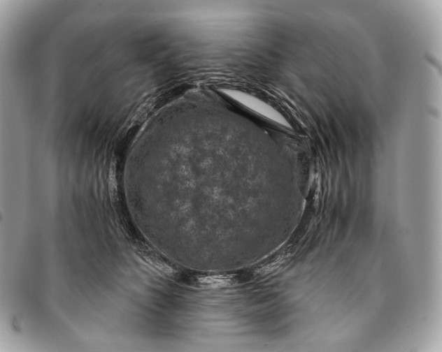 X0000096160516200802081437