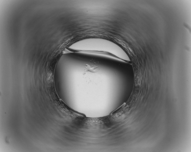 X0000096160521200802081437