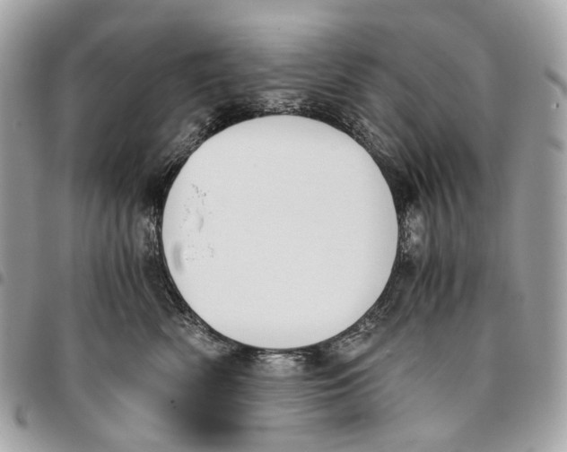 X0000096160522200802081437