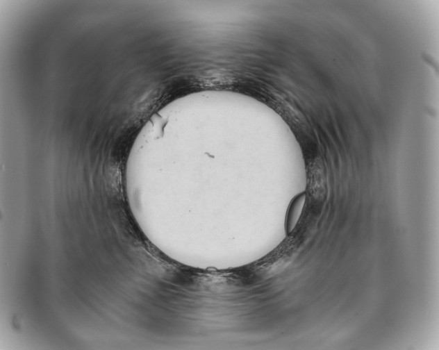 X0000096160523200802081437