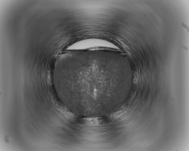 X0000096160524200802081437