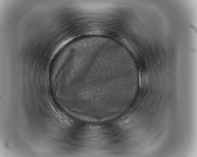 X0000096160531200802081436